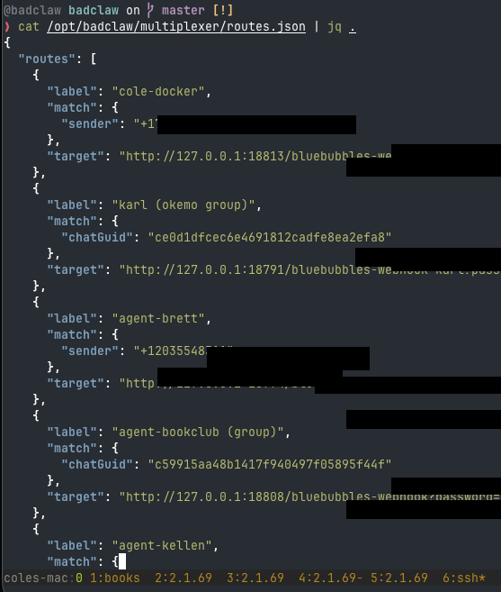 Mux routes.json — routing rules matching by sender, chatGuid, and label to container webhook targets