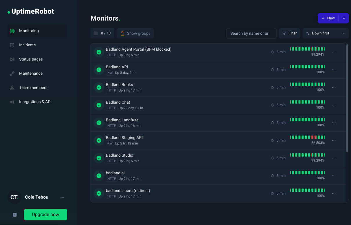 UptimeRobot — 13 monitors tracking Badland services, most at 100% uptime